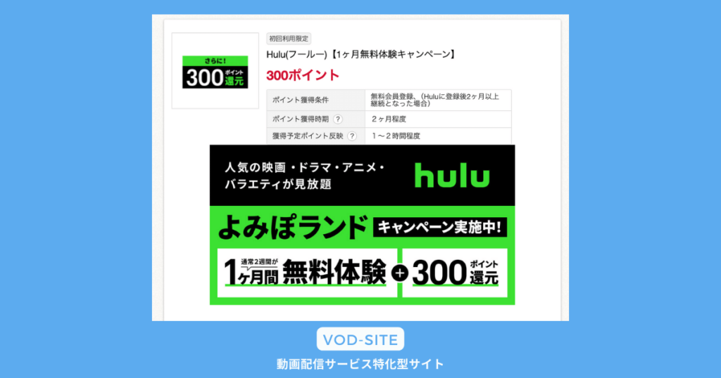 Hulu 読売新聞キャンペーン