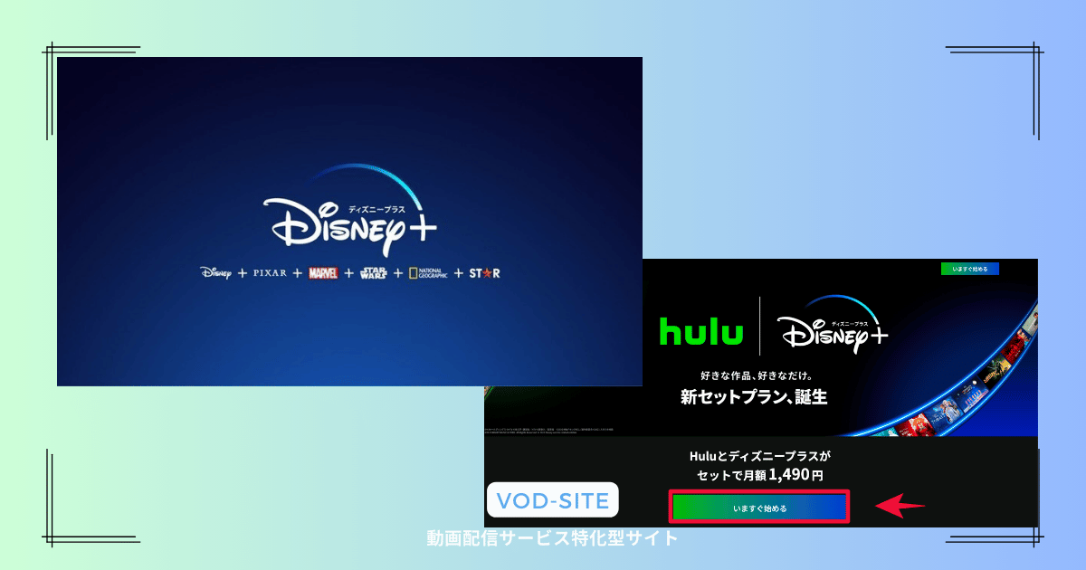 Disney+(Hulu Disney+)